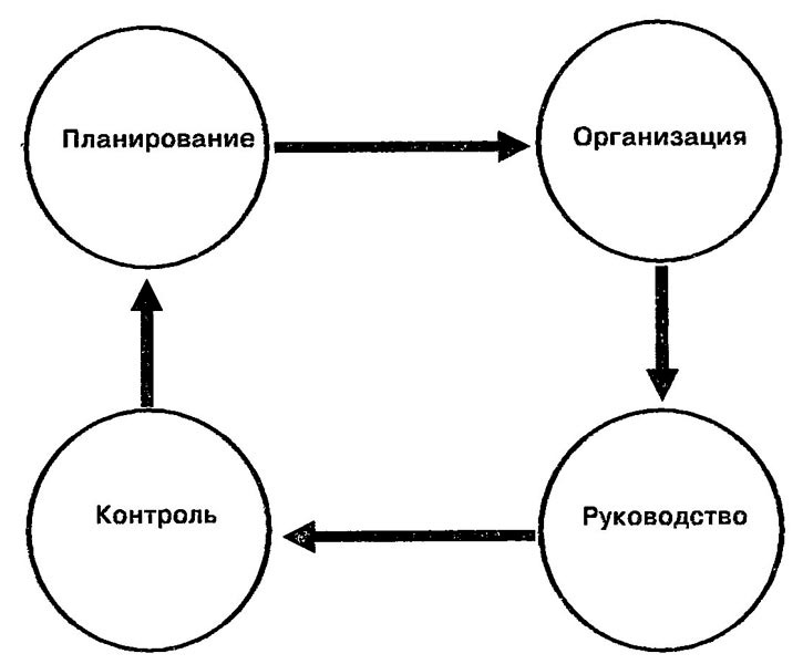 Организация процесса менеджмента