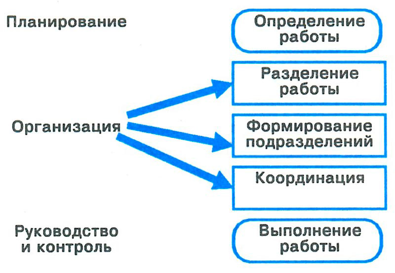 Организационная структура процесса